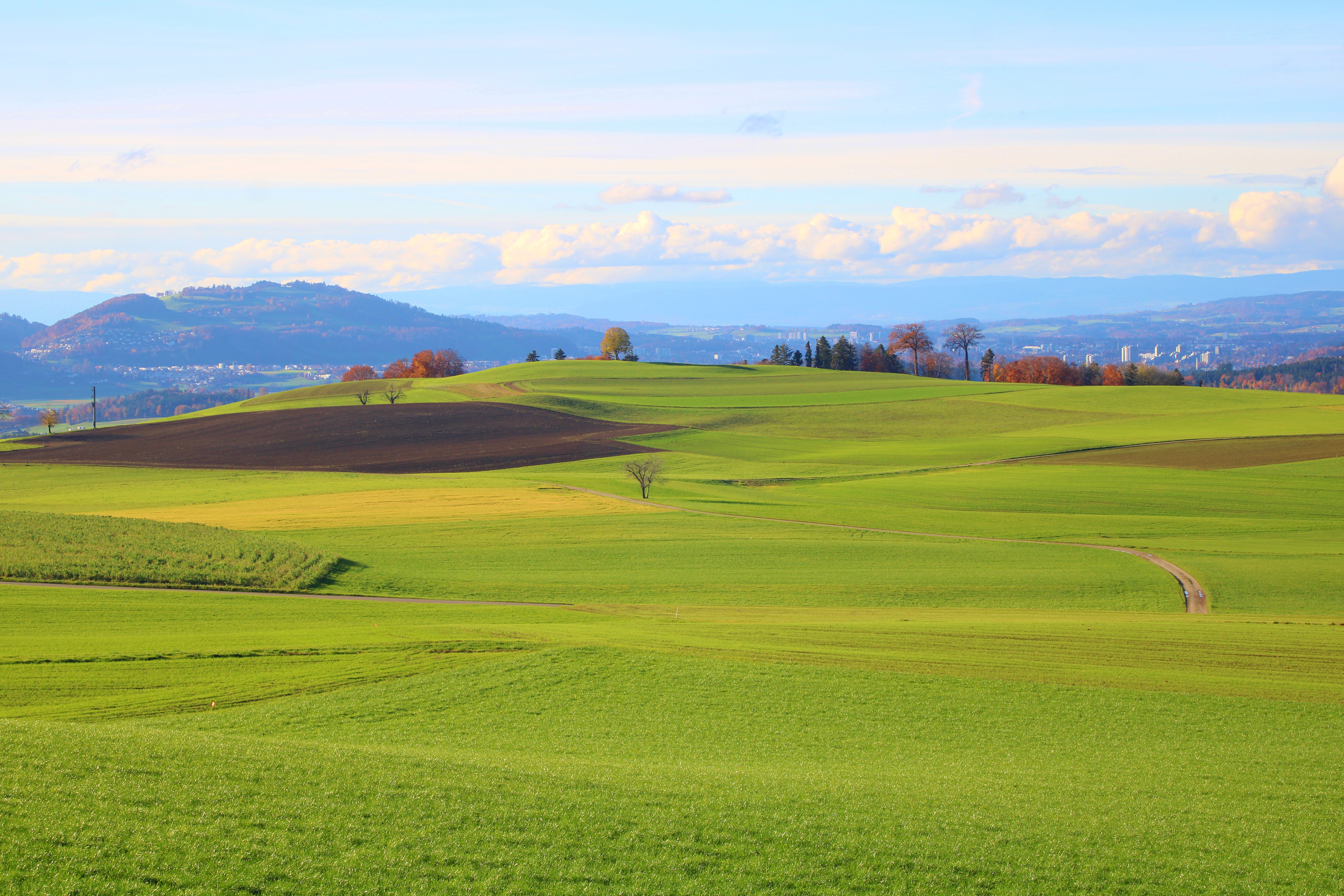 heckimg grassland 7625729
