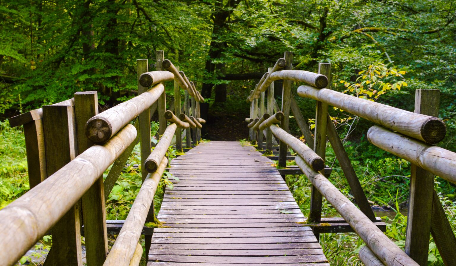 orcatec bridge 2705973