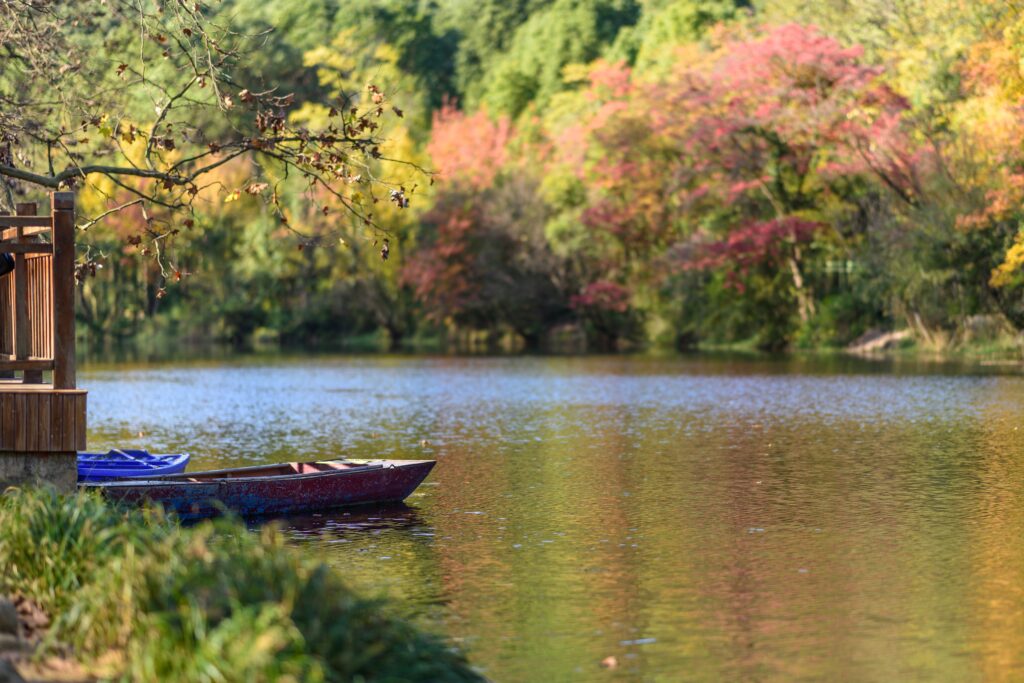 yangguangwu river 9432587