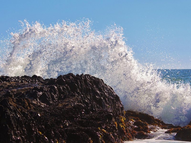 counselling surf 701137 1280