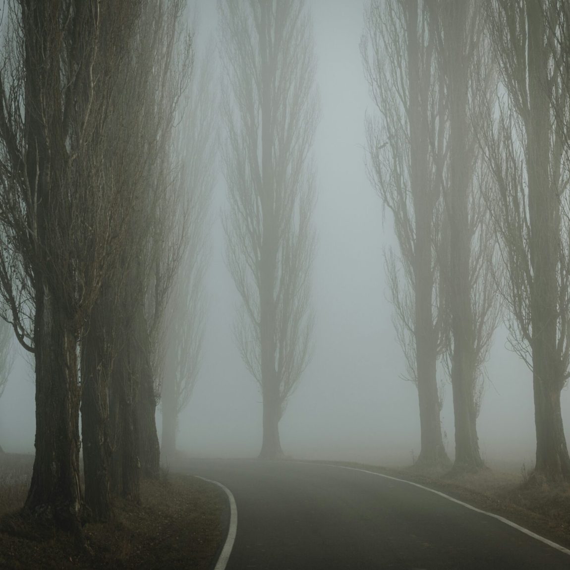 tomas-hudolin-FrPAfdyANj8-unsplash